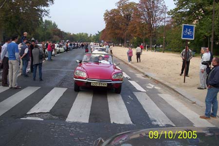 Afbeelding 042