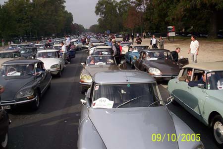 Afbeelding 060